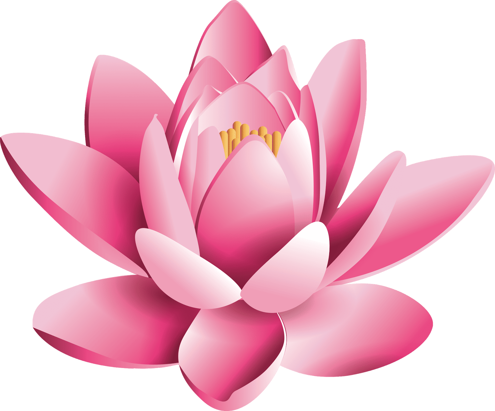 164179-pink-lotus-flower-pic-free-photo (1)