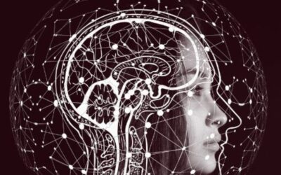 What You Believe Is Your Reality